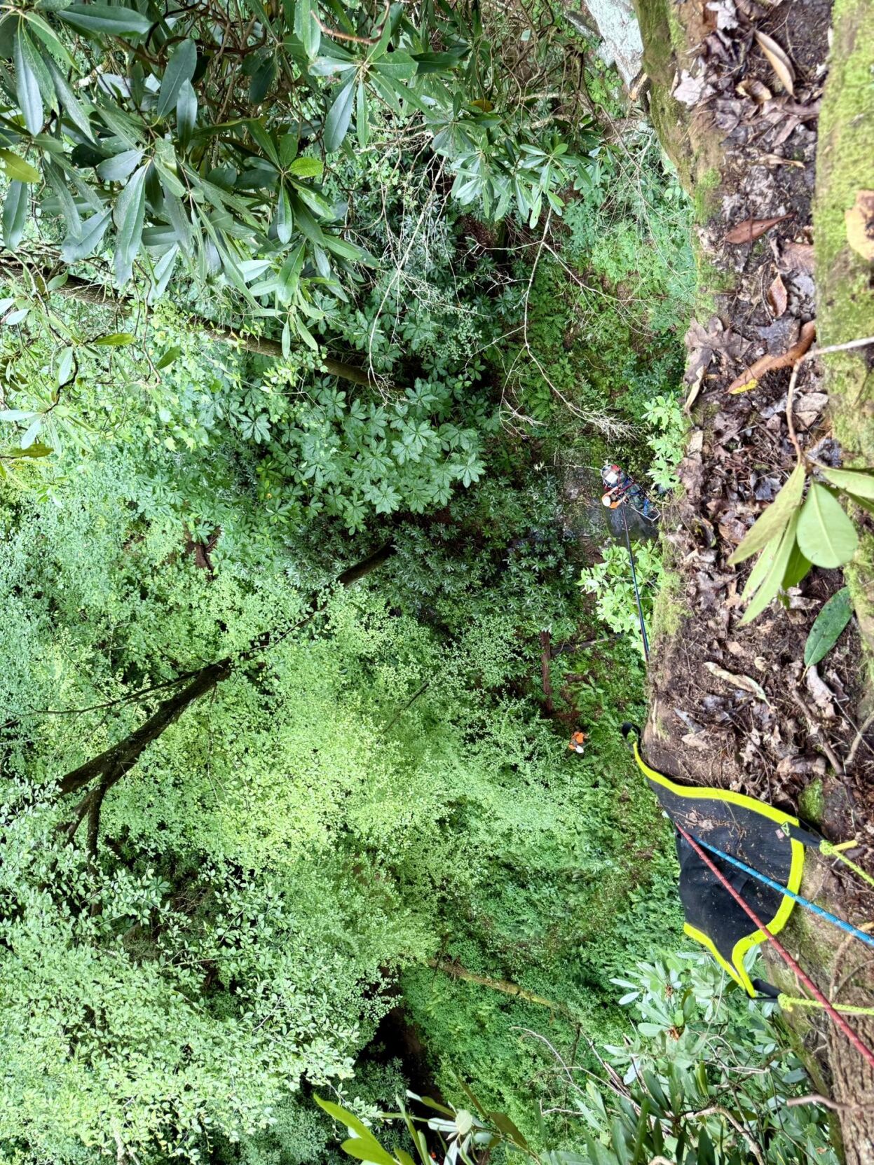 WOLFE CO. CLIFF RESCUE 7 - 7.21.25